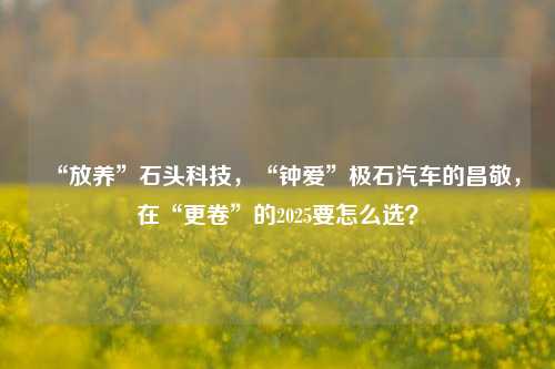 “放养”石头科技，“钟爱”极石汽车的昌敬，在“更卷”的2025要怎么选？