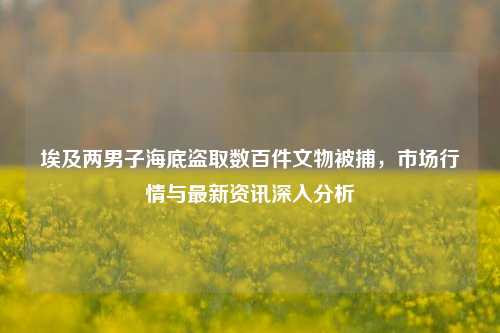 埃及两男子海底盗取数百件文物被捕，市场行情与最新资讯深入分析