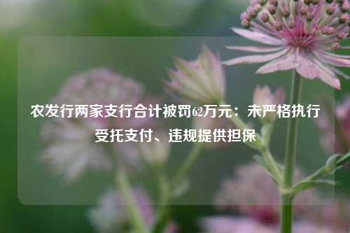 农发行两家支行合计被罚62万元：未严格执行受托支付、违规提供担保