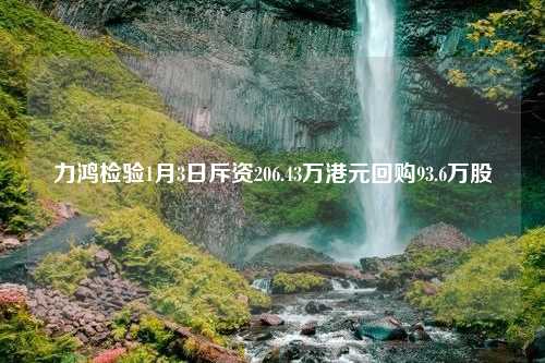 力鸿检验1月3日斥资206.43万港元回购93.6万股