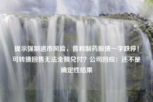 提示强制退市风险，普利制药股债一字跌停！可转债回售无法全额兑付？公司回应：还不是确定性结果