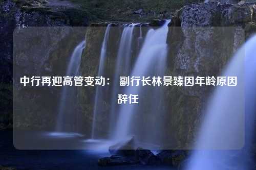 中行再迎高管变动： 副行长林景臻因年龄原因辞任