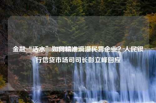 金融“活水”如何精准滴灌民营企业？人民银行信贷市场司司长彭立峰回应