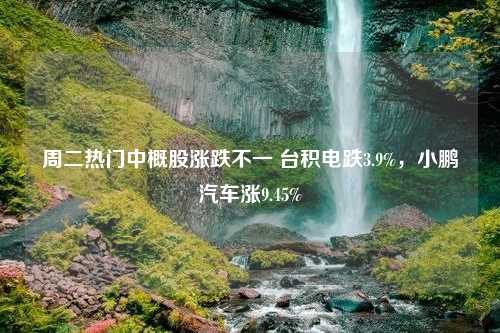 周二热门中概股涨跌不一 台积电跌3.9%，小鹏汽车涨9.45%