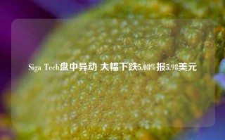 Siga Tech盘中异动 大幅下跌5.08%报5.98美元