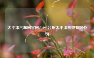 太平洋汽车网官网台州,台州太平洋机电有限公司