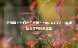 特朗普上台后岂不更糟？WTO：G20过去一年间还在增加贸易壁垒