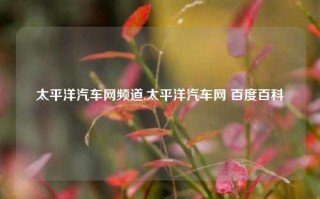 太平洋汽车网频道,太平洋汽车网 百度百科