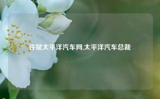 许斌太平洋汽车网,太平洋汽车总裁