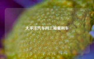 太平洋汽车网三厢夏利车