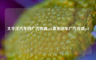 太平洋汽车网广汽传祺gs4,夏东评车广汽传祺gs4