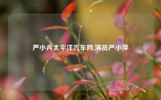 严小卉太平洋汽车网,演员严小萍