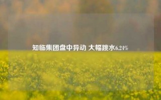 知临集团盘中异动 大幅跳水6.24%