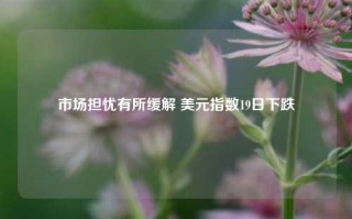 市场担忧有所缓解 美元指数19日下跌