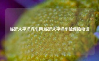 临沂太平洋汽车网,临沂太平洋车险保险电话