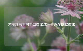 太平洋汽车网车型对比,太平洋汽车数据对比