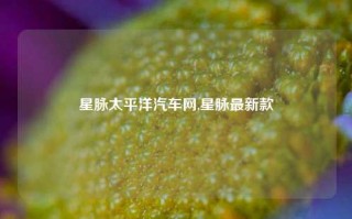 星脉太平洋汽车网,星脉最新款