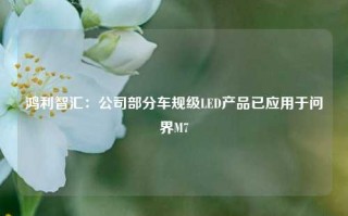 鸿利智汇：公司部分车规级LED产品已应用于问界M7