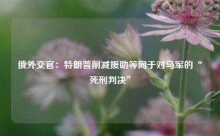 俄外交官：特朗普削减援助等同于对乌军的“死刑判决”