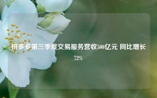 拼多多第三季度交易服务营收500亿元 同比增长72%