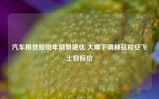 汽车租赁股明年前景堪忧 大摩下调赫兹和安飞士目标价