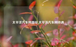 太平洋汽车网面经,太平洋汽车网待遇