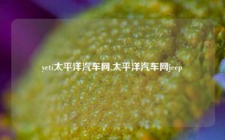 yeti太平洋汽车网,太平洋汽车网jeep