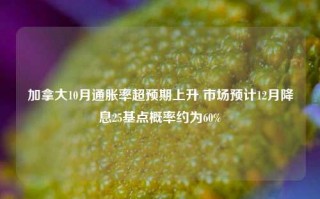 加拿大10月通胀率超预期上升 市场预计12月降息25基点概率约为60%