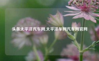 头条太平洋汽车网,太平洋车网汽车网官网