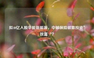 拟40亿入股华能新能源，中邮保险欲靠投资”致富“？