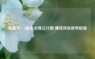 杨德龙：A股走出独立行情 赚钱效应依然较强