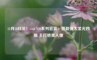 11月28日见！vivo S20系列官宣：搭载强大柔光四摄 主打绝美人像