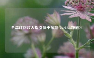 全年订阅收入指引低于预期 Workday跌逾7%