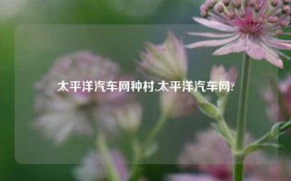 太平洋汽车网种村,太平洋汽车网?