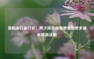 英国央行副行长：再次降息前需要看到更多通胀降温证据