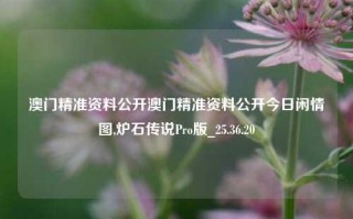 澳门精准资料公开澳门精准资料公开今日闲情图,炉石传说Pro版_25.36.20