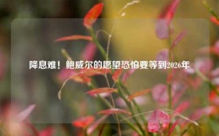 降息难！鲍威尔的愿望恐怕要等到2026年