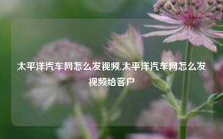 太平洋汽车网怎么发视频,太平洋汽车网怎么发视频给客户