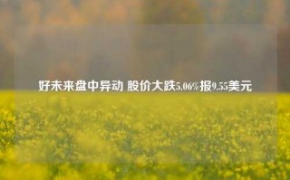 好未来盘中异动 股价大跌5.06%报9.55美元