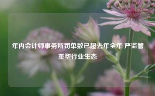 年内会计师事务所罚单数已超去年全年 严监管重塑行业生态