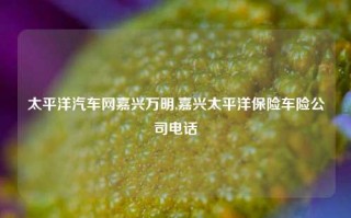 太平洋汽车网嘉兴万明,嘉兴太平洋保险车险公司电话