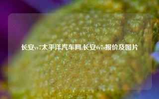 长安vv7太平洋汽车网,长安vv7s报价及图片