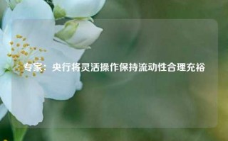 专家：央行将灵活操作保持流动性合理充裕