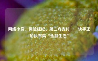 网络小贷、保险经纪、第三方支付⋯⋯快手正加快布局“金融生态”