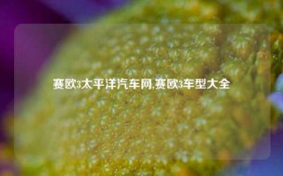 赛欧3太平洋汽车网,赛欧3车型大全