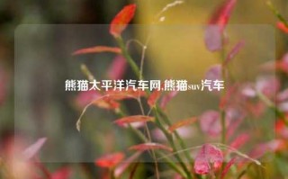 熊猫太平洋汽车网,熊猫suv汽车