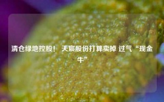 清仓绿地控股！ 天宸股份打算卖掉 过气“现金牛”