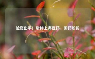 险资出手！增持上海医药、国药股份