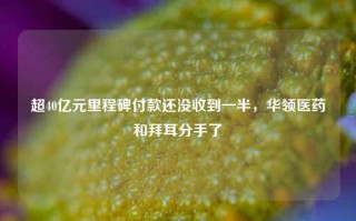 超40亿元里程碑付款还没收到一半，华领医药和拜耳分手了