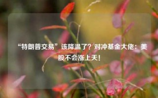 “特朗普交易”该降温了？对冲基金大佬：美股不会涨上天！